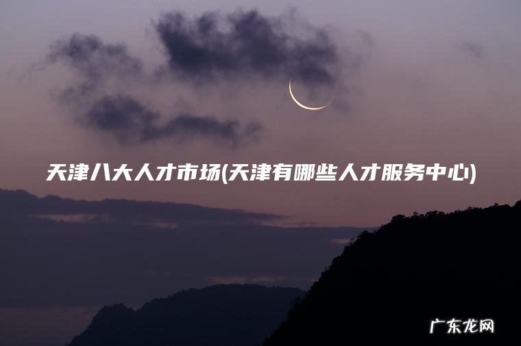 天津八大人才市场(天津有哪些人才服务中心)