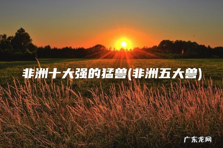 非洲十大强的猛兽(非洲五大兽) 非洲五大兽 非洲十大强的猛兽