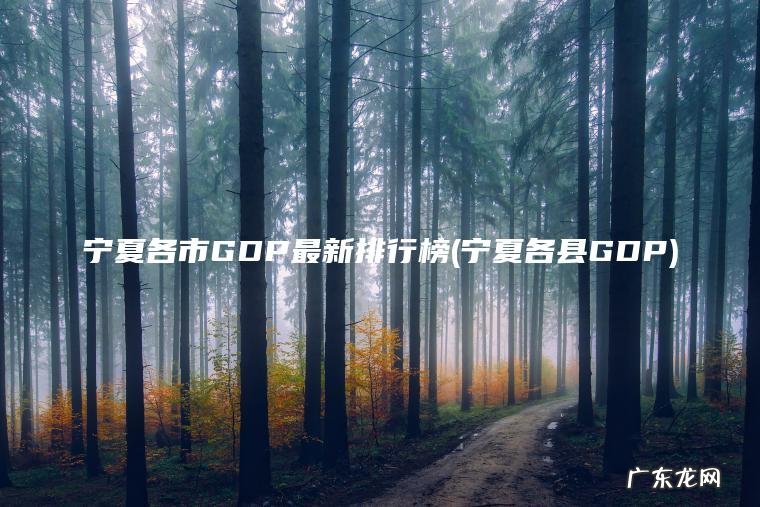 宁夏各县GDP 宁夏各市GDP最新排行榜