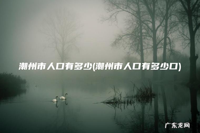 潮州市人口有多少(潮州市人口有多少口) 潮州市人口有多少口 潮州市人口有多少