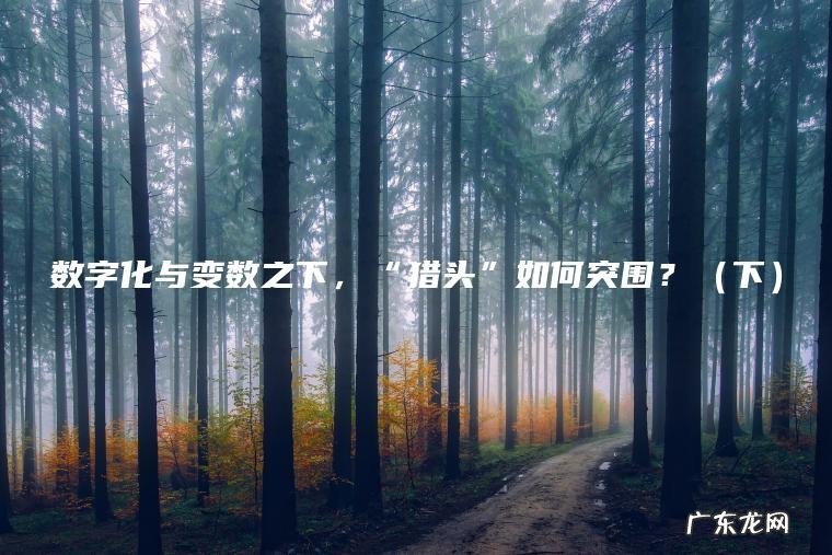 数字化与变数之下,“猎头”如何突围?(下) 下 数字化与变数之下,“猎头”如何突围?