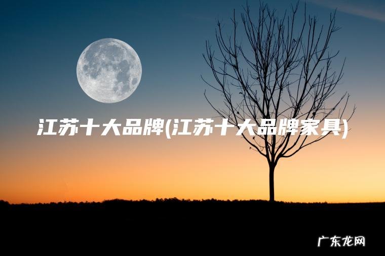 江苏十大品牌(江苏十大品牌家具) 江苏十大品牌家具 江苏十大品牌