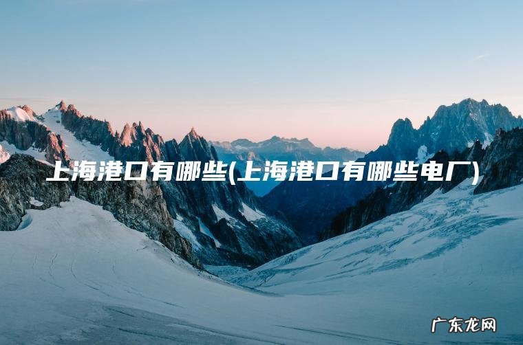 上海港口有哪些(上海港口有哪些电厂)
