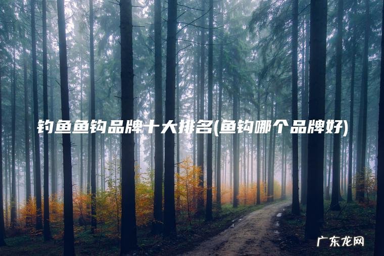 鱼钩哪个品牌好 钓鱼鱼钩品牌十大排名