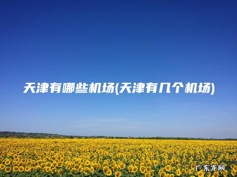 天津有哪些机场(天津有几个机场) 天津有几个机场 天津有哪些机场