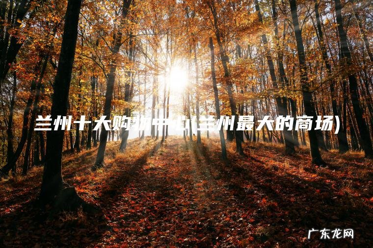 兰州最大的商场 兰州十大购物中心