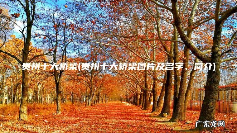 贵州十大桥梁图片及名字、简介 贵州十大桥梁