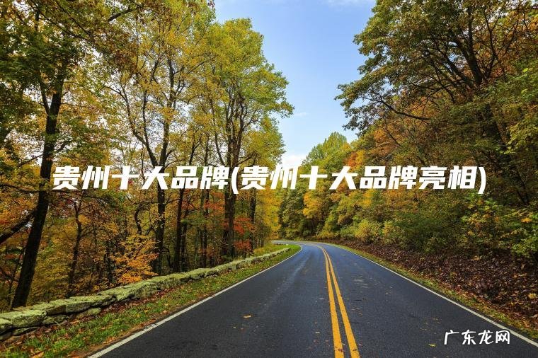 贵州十大品牌(贵州十大品牌亮相)