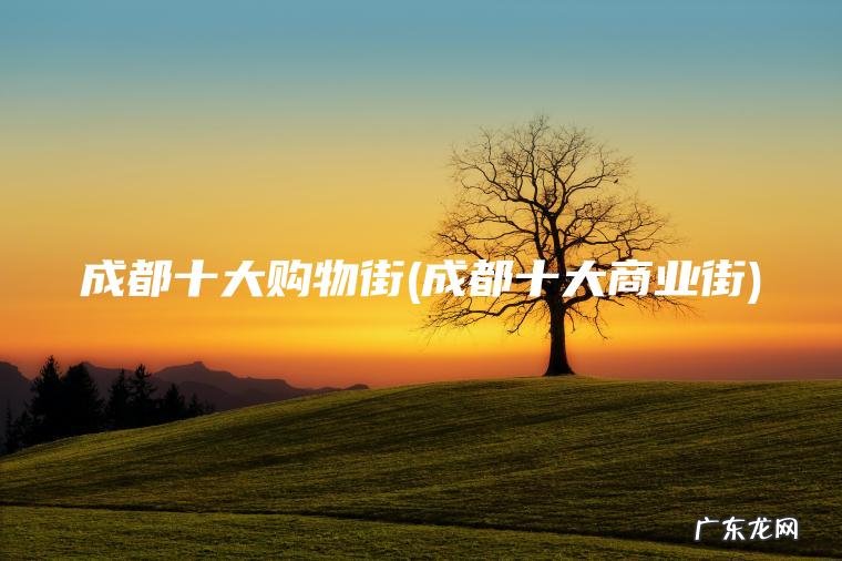 成都十大购物街(成都十大商业街) 成都十大商业街 成都十大购物街