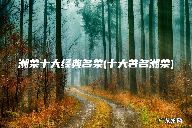 十大著名湘菜 湘菜十大经典名菜