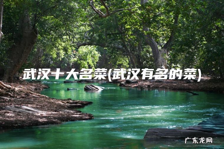 武汉有名的菜 武汉十大名菜