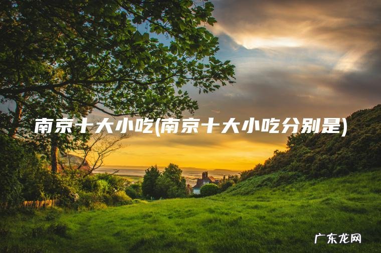 南京十大小吃分别是 南京十大小吃