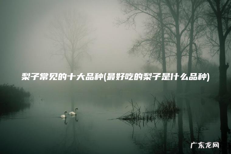 梨子常见的十大品种(最好吃的梨子是什么品种) 最好吃的梨子是什么品种 梨子常见的十大品种