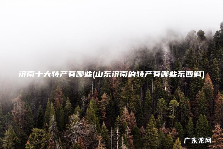 济南十大特产有哪些(山东济南的特产有哪些东西啊)