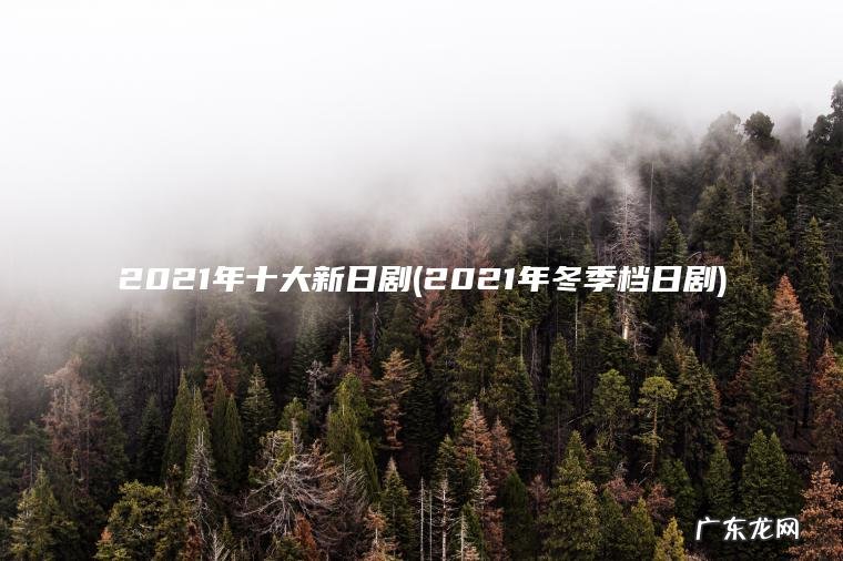 2021年十大新日剧(2021年冬季档日剧) 2021年冬季档日剧 2021年十大新日剧