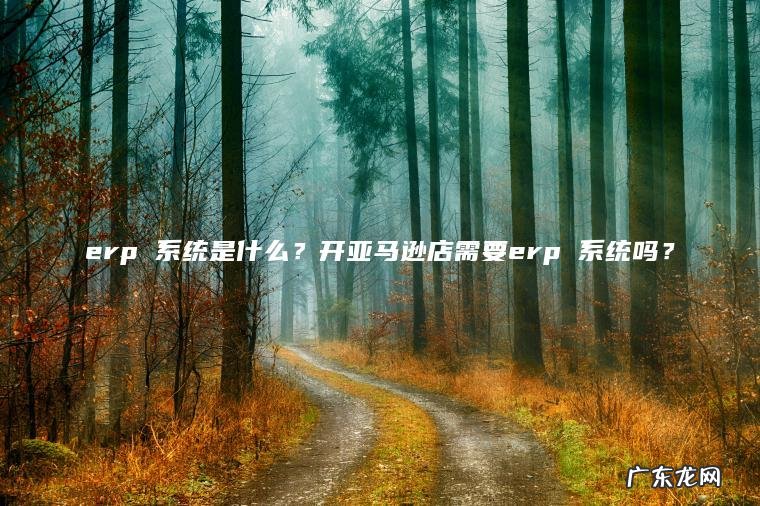 erp 系统是什么?开亚马逊店需要erp 系统吗? erp 系统是什么?开亚马逊店需要erp 系统吗?
