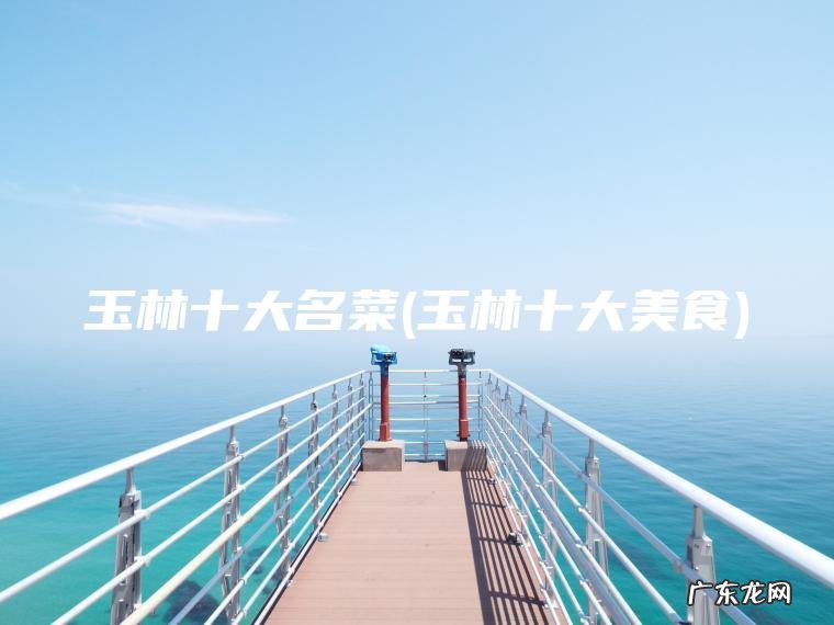 玉林十大名菜(玉林十大美食) 玉林十大美食 玉林十大名菜