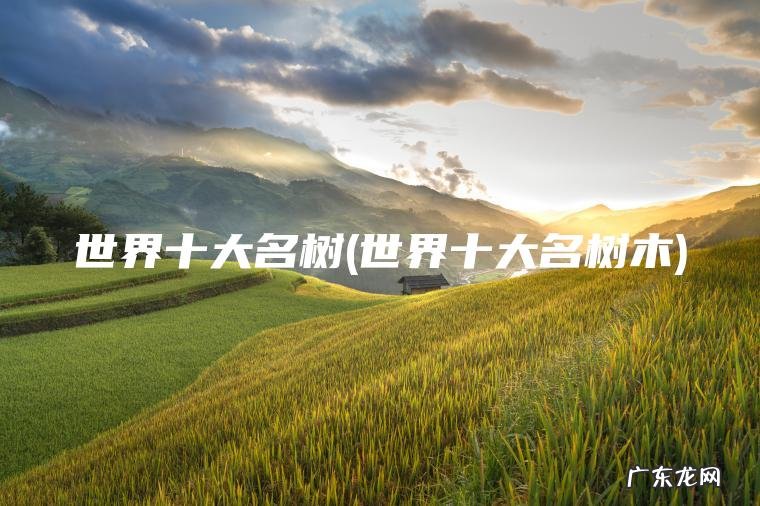 世界十大名树(世界十大名树木) 世界十大名树木 世界十大名树