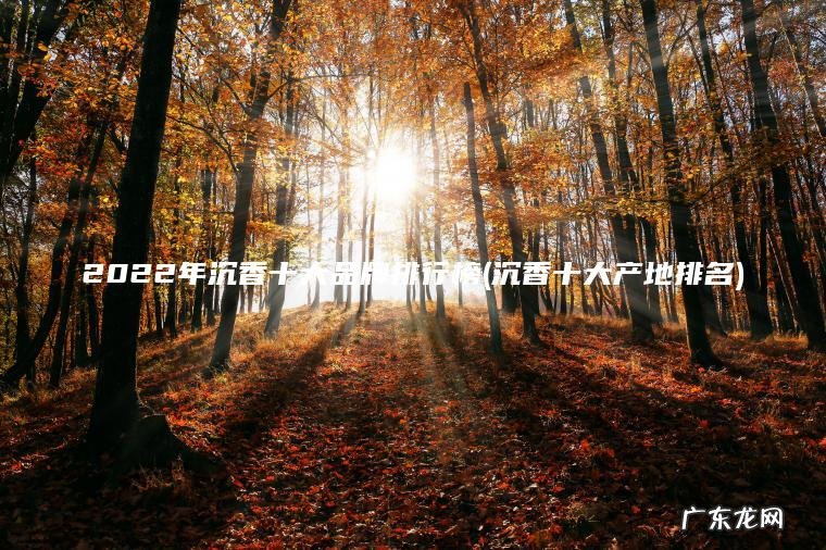 沉香十大产地排名 2022年沉香十大品牌排行榜