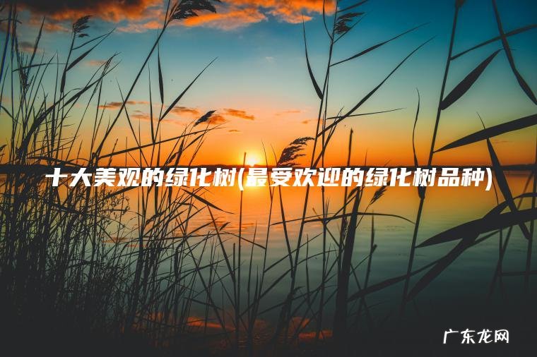 十大美观的绿化树(最受欢迎的绿化树品种) 最受欢迎的绿化树品种 十大美观的绿化树