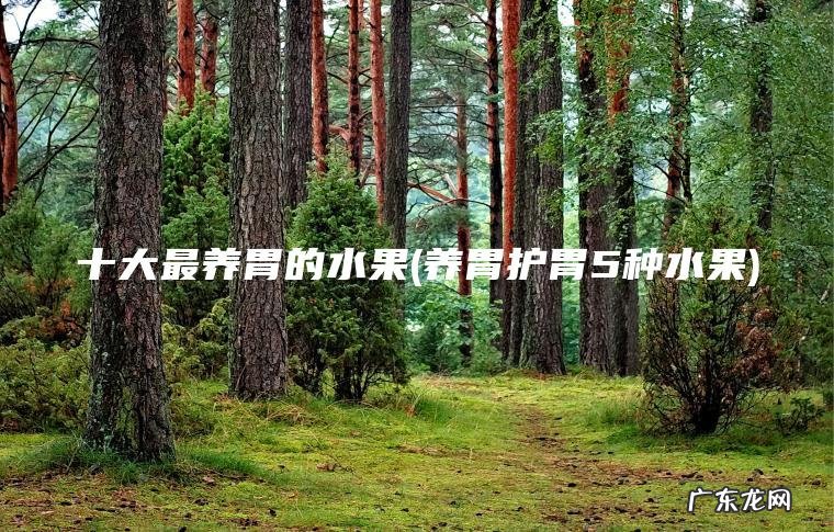 十大最养胃的水果(养胃护胃5种水果) 养胃护胃5种水果 十大最养胃的水果