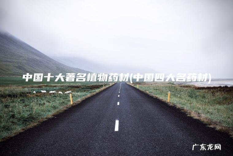 中国四大名药材 中国十大著名植物药材