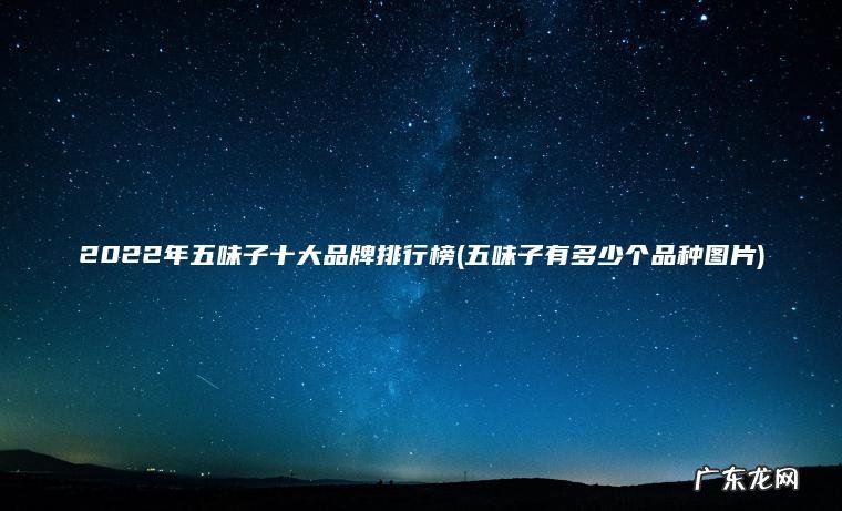 五味子有多少个品种图片 2022年五味子十大品牌排行榜