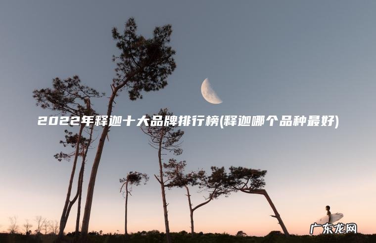 2022年释迦十大品牌排行榜(释迦哪个品种最好) 释迦哪个品种最好 2022年释迦十大品牌排行榜