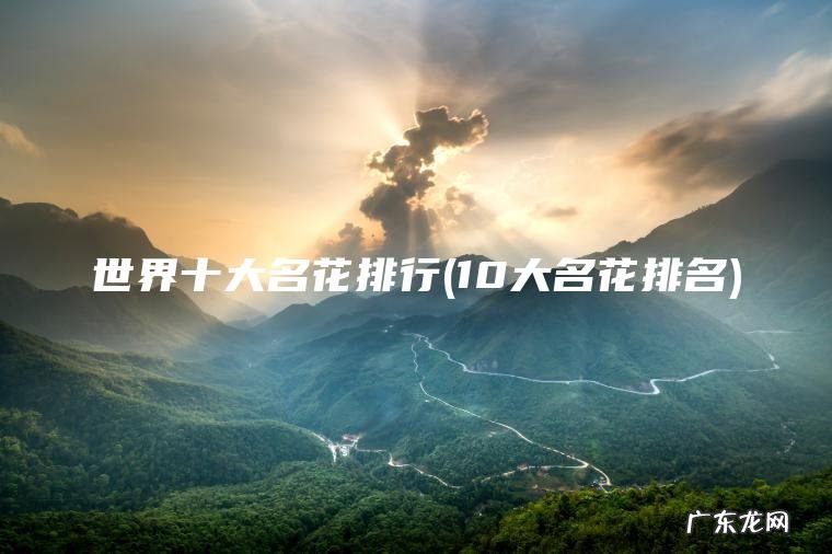 世界十大名花排行(10大名花排名) 10大名花排名 世界十大名花排行