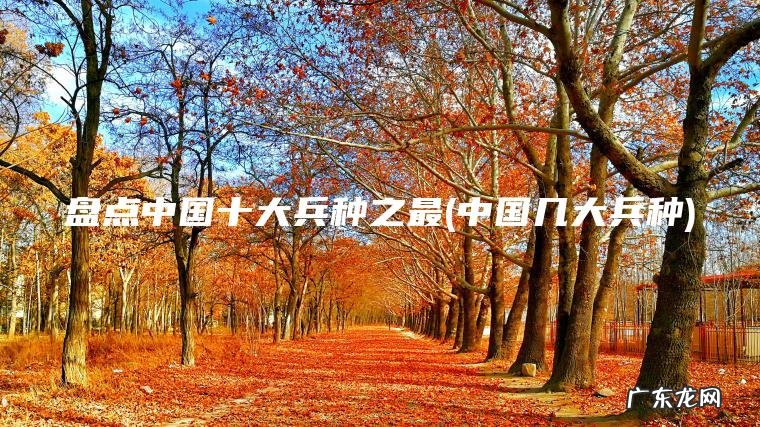 盘点中国十大兵种之最(中国几大兵种) 中国几大兵种 盘点中国十大兵种之最