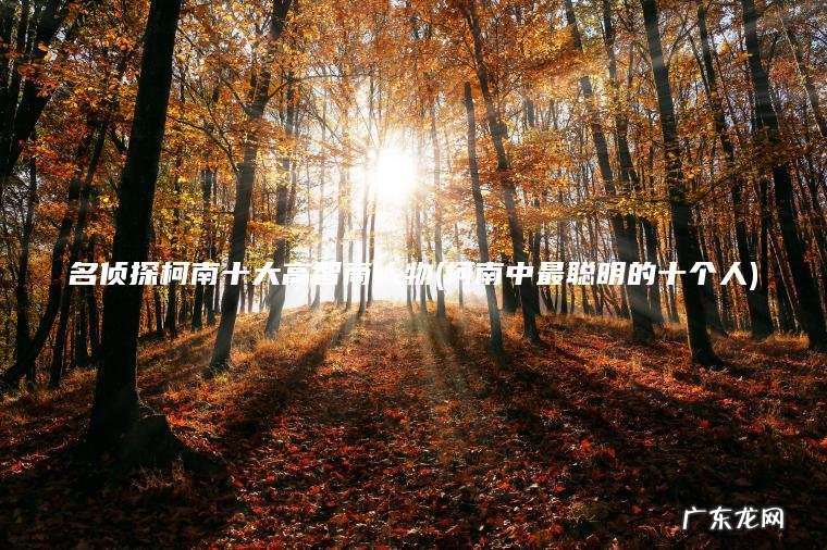 柯南中最聪明的十个人 名侦探柯南十大高智商人物