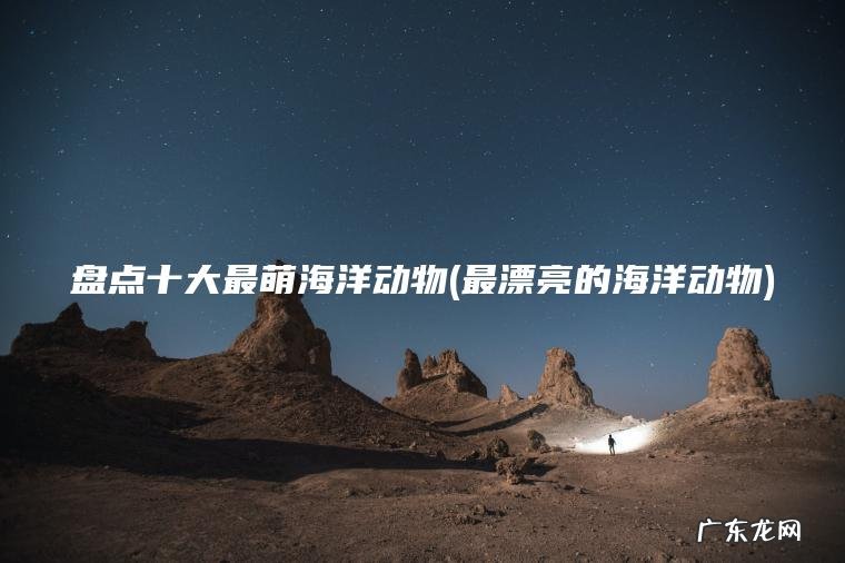 最漂亮的海洋动物 盘点十大最萌海洋动物