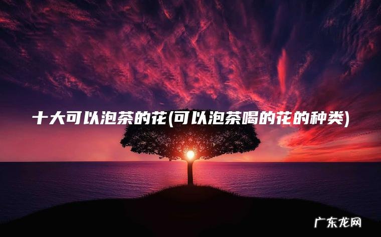 可以泡茶喝的花的种类 十大可以泡茶的花