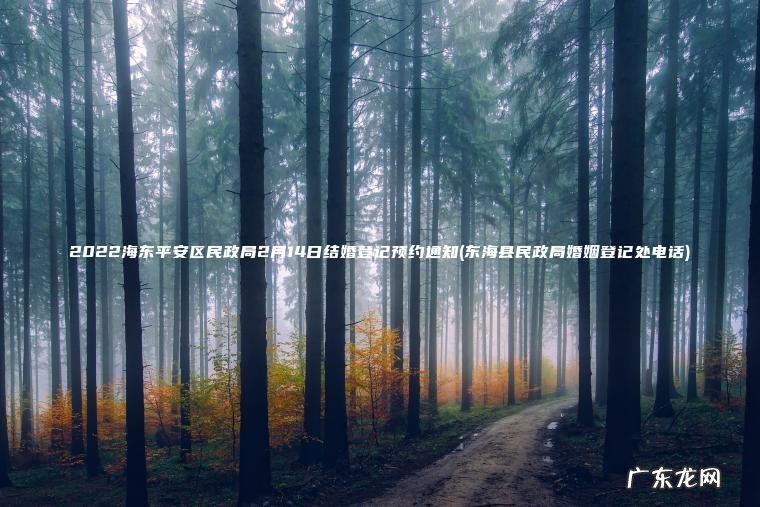 2022海东平安区民政局2月14日结婚登记预约通知(东海县民政局婚姻登记处电话) 东海县民政局婚姻登记处电话 2022海东平安区民政局2月14日结婚登记预约通知