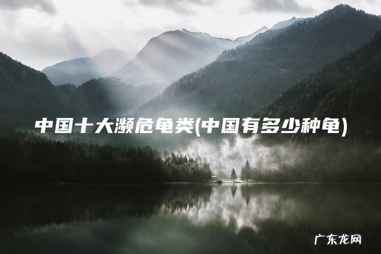 中国十大濒危龟类(中国有多少种龟) 中国有多少种龟 中国十大濒危龟类