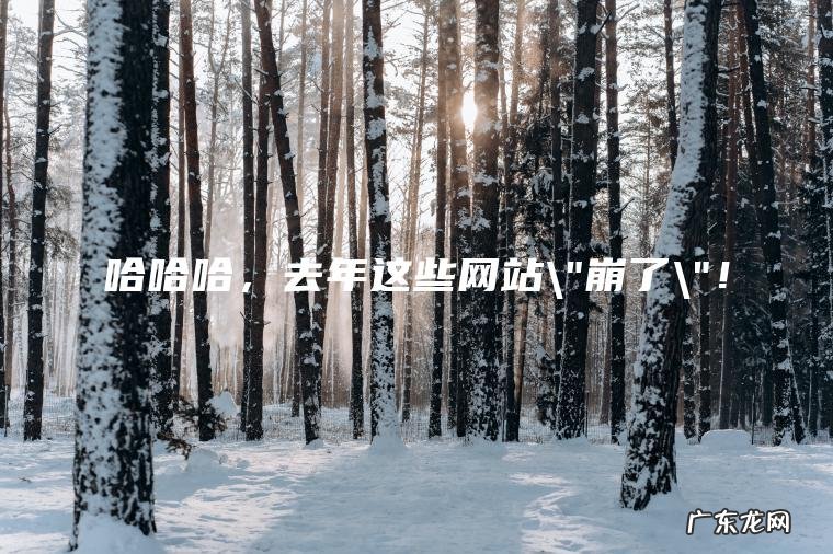 哈哈哈, 去年这些网站\”崩了\”! 哈哈哈,去年这些网站\”崩了\”!