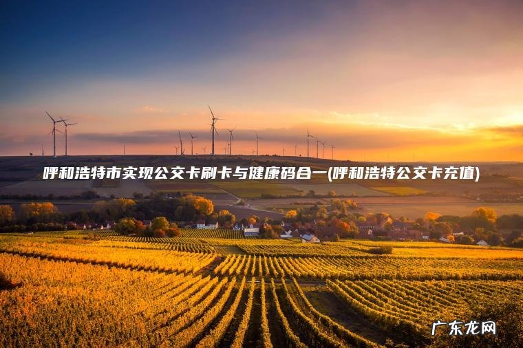 呼和浩特市实现公交卡刷卡与健康码合一(呼和浩特公交卡充值) 呼和浩特公交卡充值 呼和浩特市实现公交卡刷卡与健康码合一