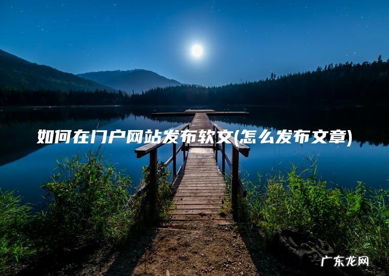 如何在门户网站发布软文(怎么发布文章) 怎么发布文章 如何在门户网站发布软文