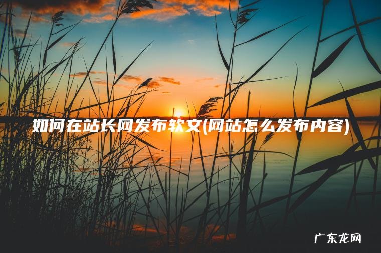 如何在站长网发布软文(网站怎么发布内容) 网站怎么发布内容 如何在站长网发布软文
