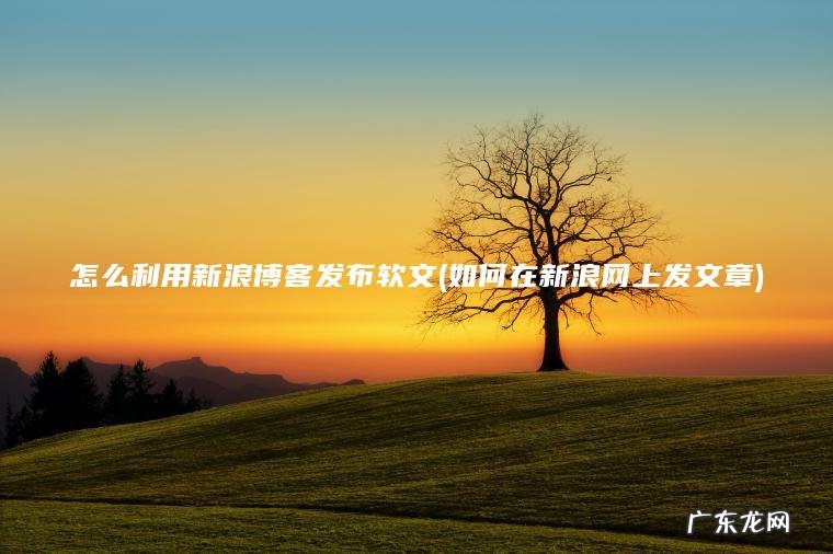 怎么利用新浪博客发布软文(如何在新浪网上发文章) 如何在新浪网上发文章 怎么利用新浪博客发布软文