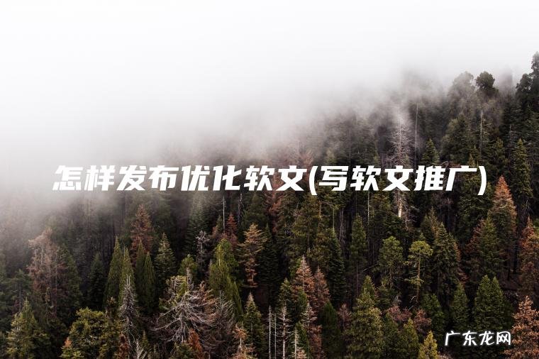 怎样发布优化软文(写软文推广) 写软文推广 怎样发布优化软文