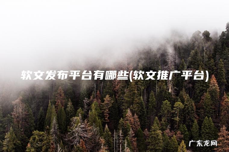 软文发布平台有哪些(软文推广平台) 软文推广平台 软文发布平台有哪些