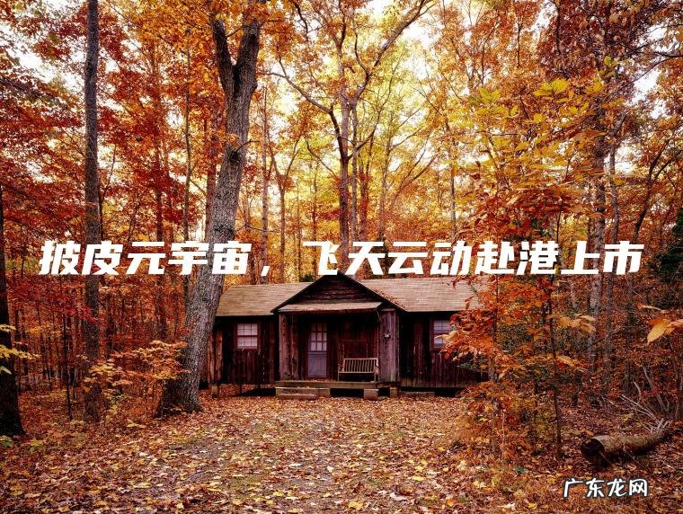 披皮元宇宙 , 飞天云动赴港上市 披皮元宇宙,飞天云动赴港上市