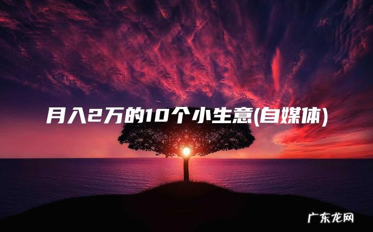 月入2万的10个小生意(自媒体) 自媒体 月入2万的10个小生意