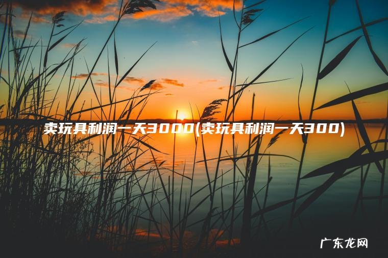 卖玩具利润一天3000(卖玩具利润一天300) 卖玩具利润一天300 卖玩具利润一天3000