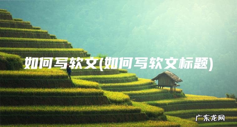如何写软文(如何写软文标题) 如何写软文标题 如何写软文