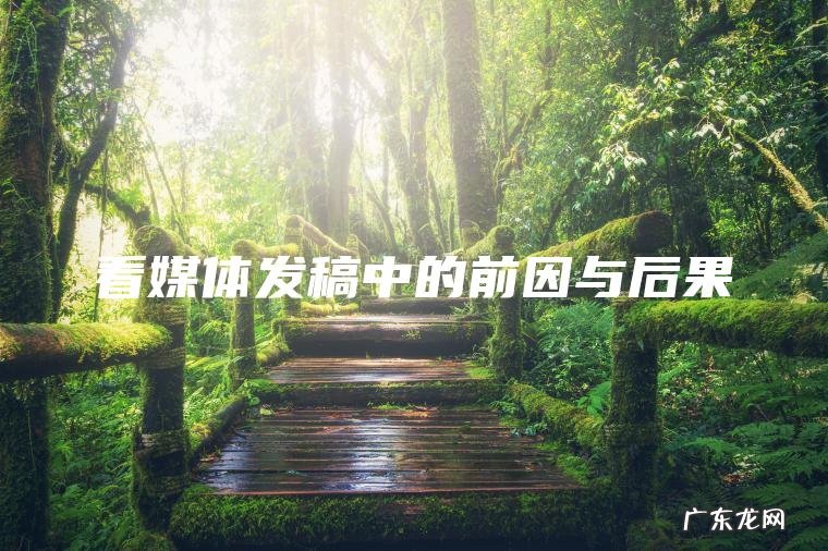 看媒体发稿中的前因与后果