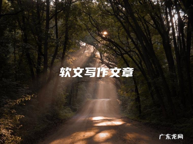 软文写作文章