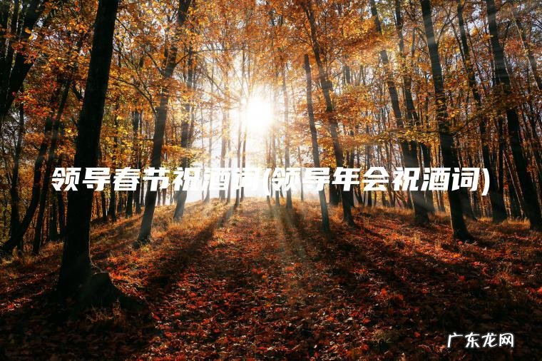 领导年会祝酒词 领导春节祝酒词