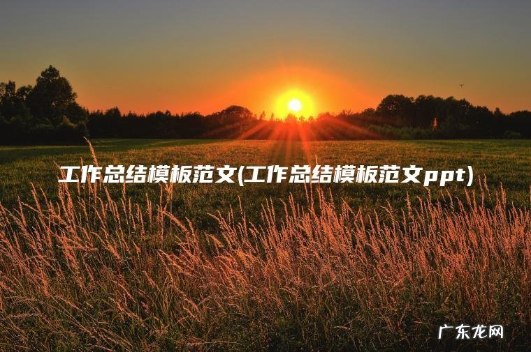 工作总结模板范文ppt 工作总结模板范文
